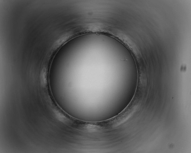 X0000103490393200809121720