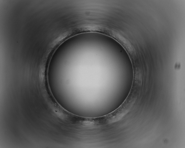 X0000103490394200809121720