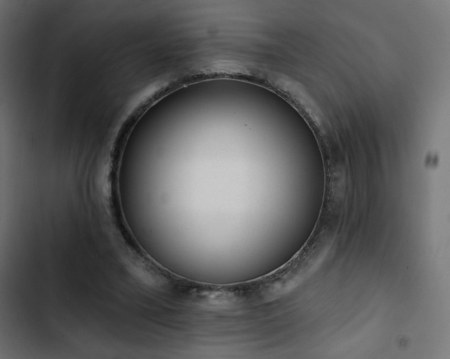 X0000103490395200809121720