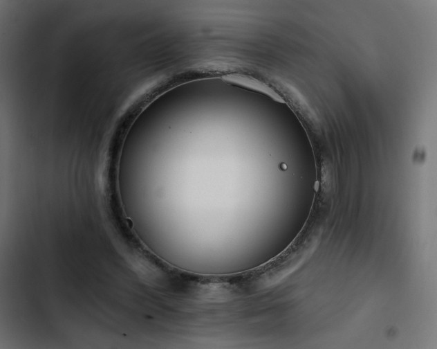 X0000103490396200809121720