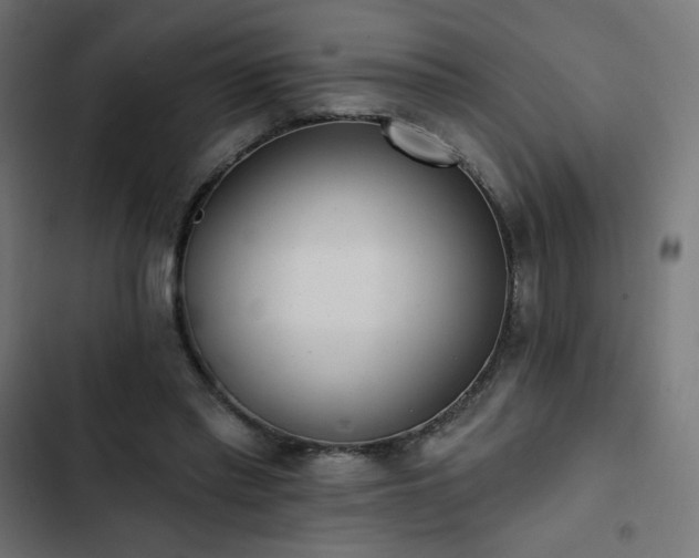 X0000103490397200809121719