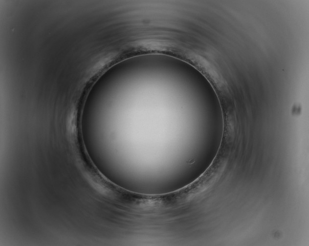 X0000103490398200809121719