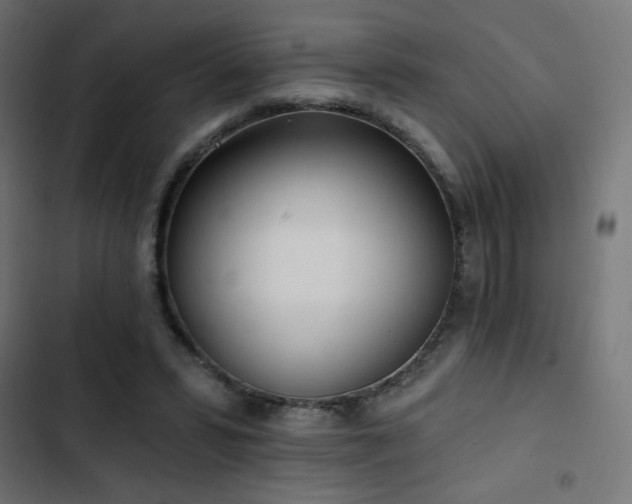 X0000103490399200809121719