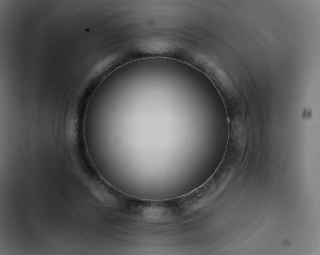 X0000103490400200809121719