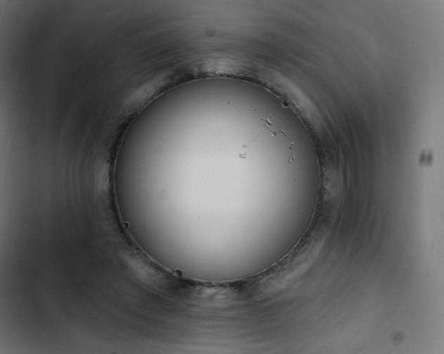 X0000103490401200809121719