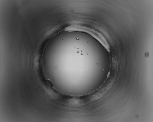 X0000103490404200809121719