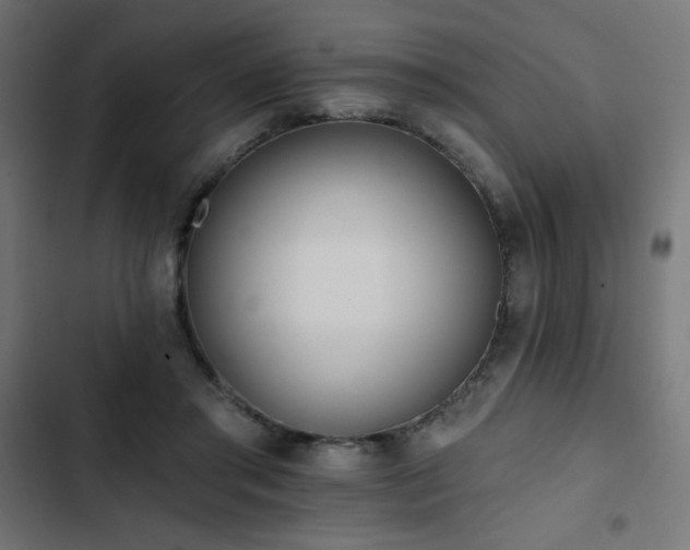 X0000103490405200809121719