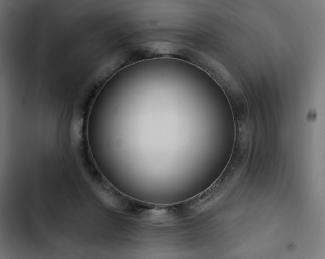 X0000103490406200809121719