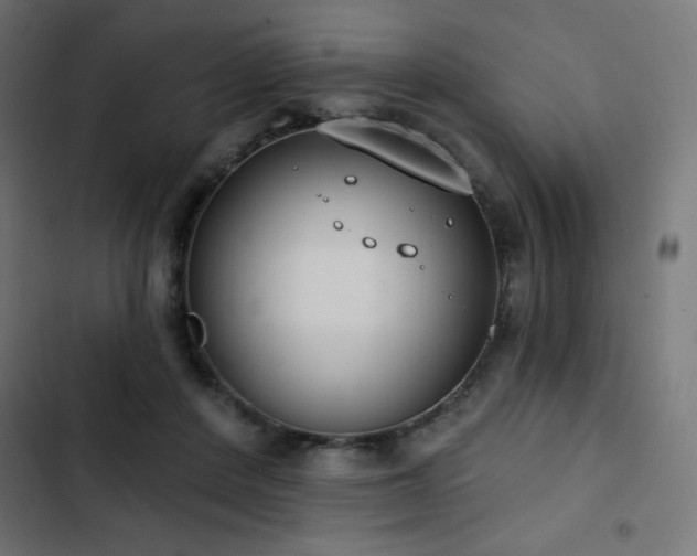 X0000103490408200809121719