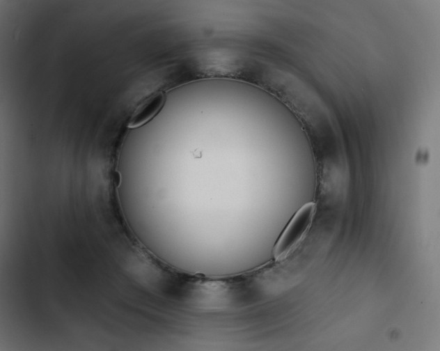 X0000103490409200809121719