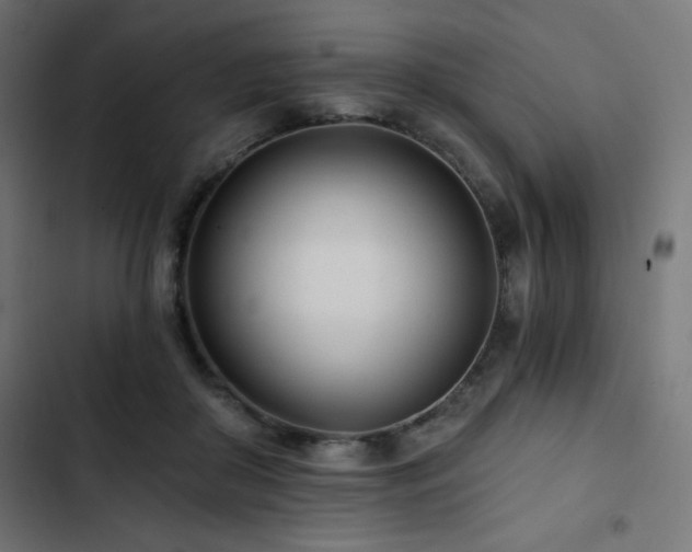 X0000103490410200809121719