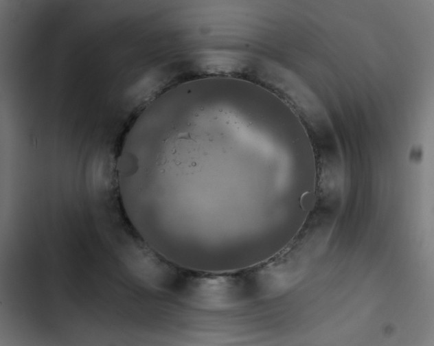 X0000103490411200809121719