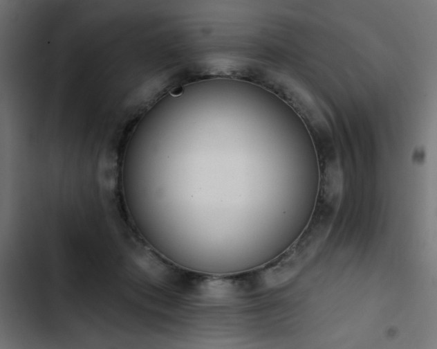 X0000103490413200809121719