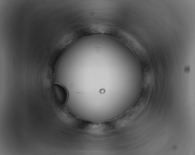 X0000103490414200809121719