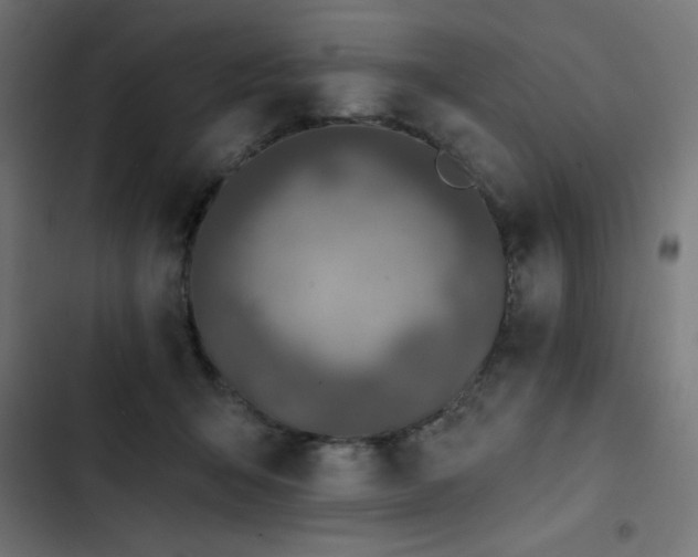 X0000103490415200809121719