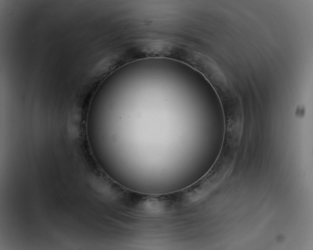 X0000103490416200809121719