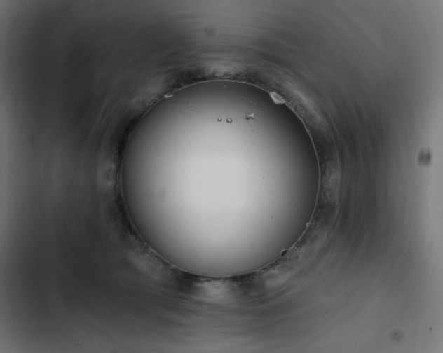 X0000103490417200809121719