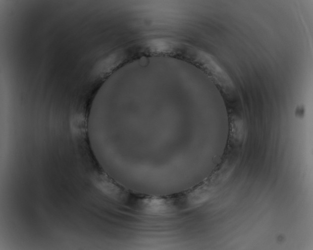 X0000103490419200809121719