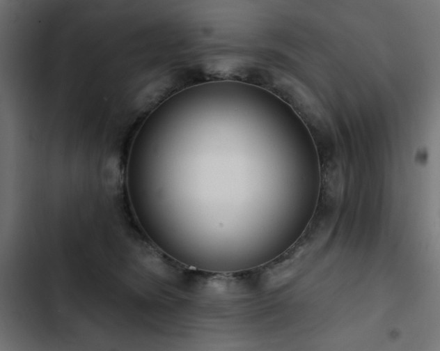 X0000103490420200809121719