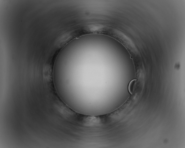 X0000103490421200809121719