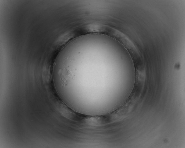 X0000103490422200809121719