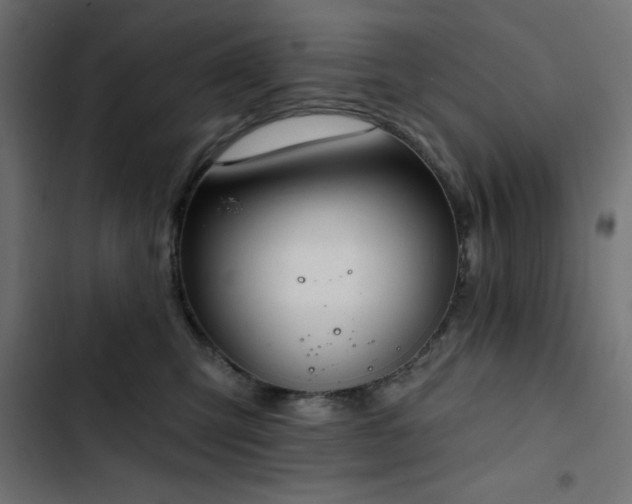 X0000103490423200809121719