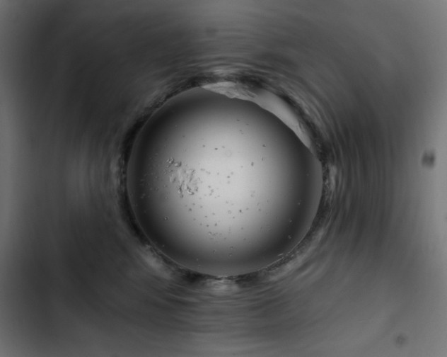 X0000103490424200809121719