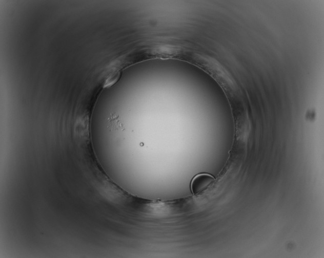 X0000103490425200809121719