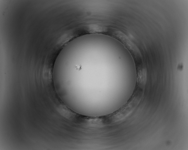 X0000103490426200809121719