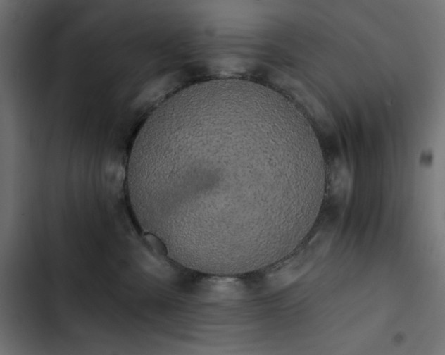 X0000103490427200809121719