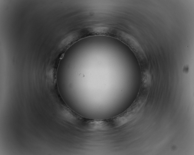 X0000103490428200809121719