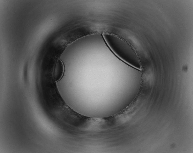 X0000103490429200809121719