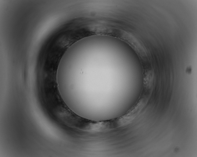 X0000103490430200809121719