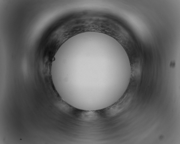 X0000103490431200809121719