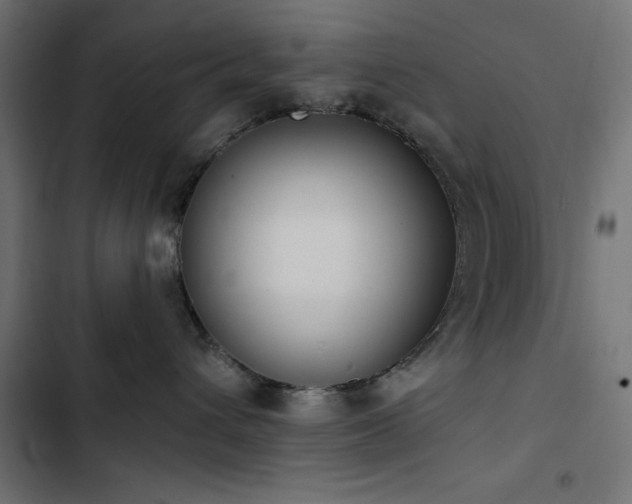 X0000103490432200809121719