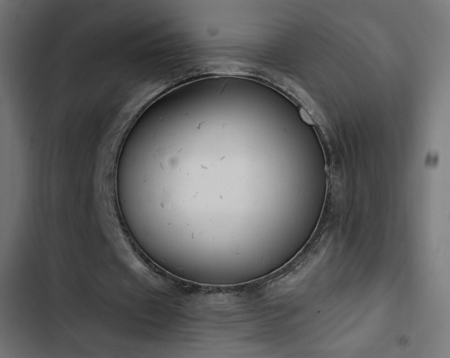 X0000103490433200809121718