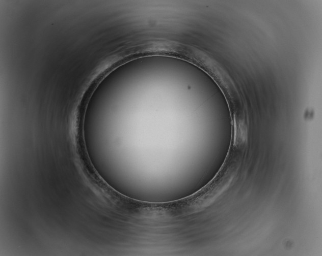 X0000103490435200809121718