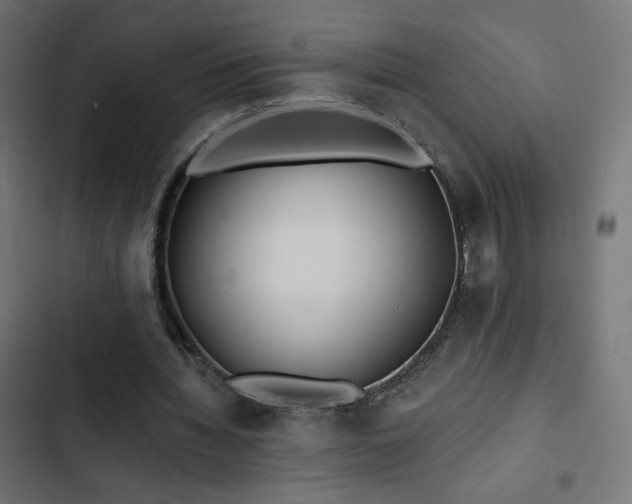 X0000103490436200809121718