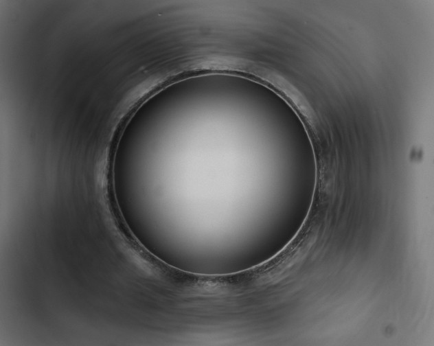 X0000103490437200809121718