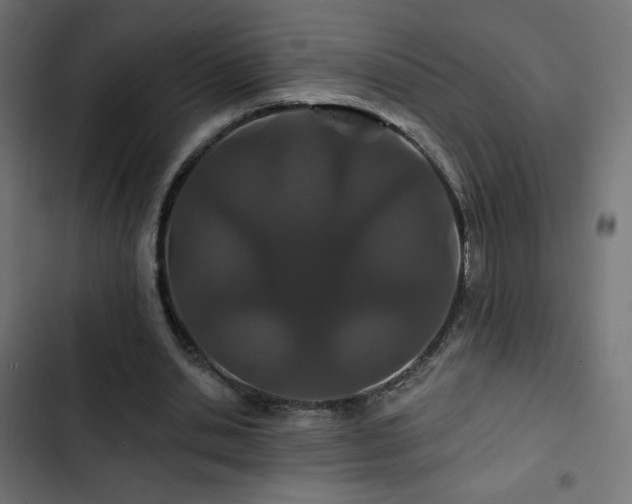 X0000103490438200809121718