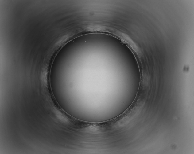 X0000103490441200809121718