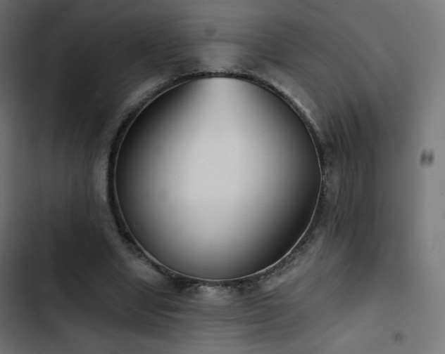 X0000103490442200809121718