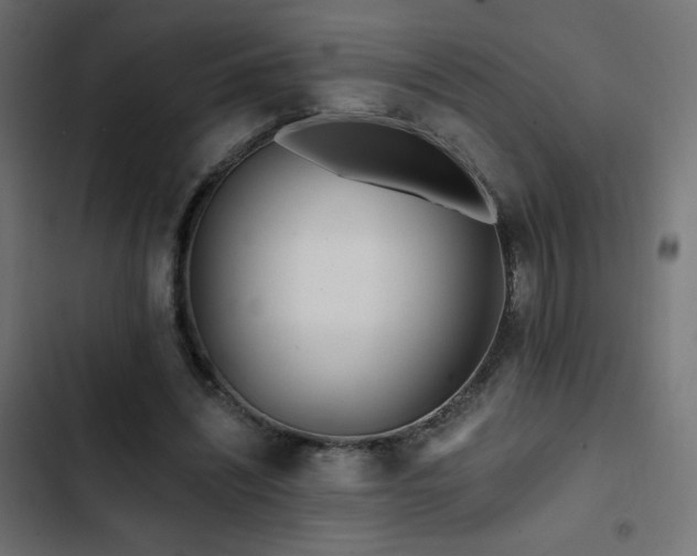 X0000103490444200809121718