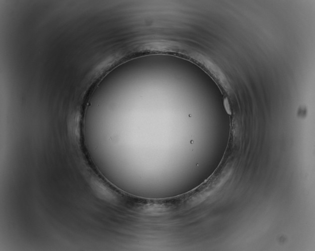 X0000103490445200809121718