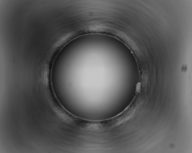 X0000103490446200809121718