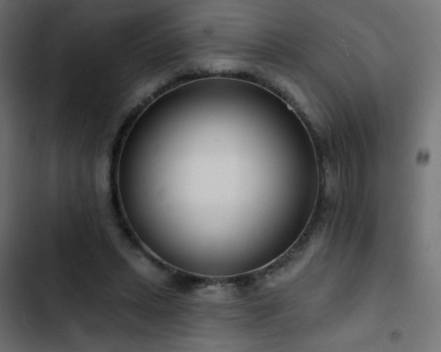 X0000103490447200809121718