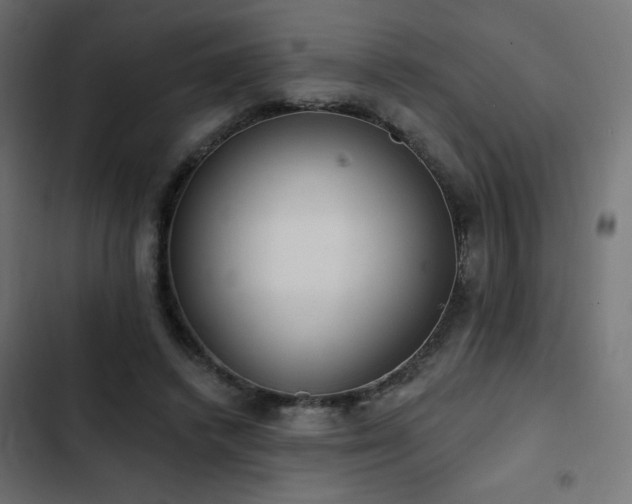 X0000103490448200809121718