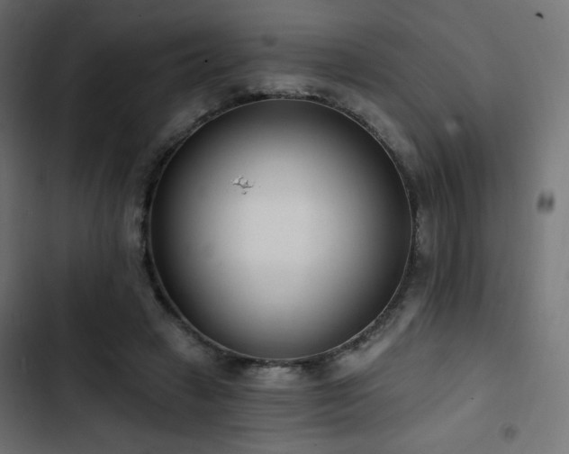 X0000103490449200809121719