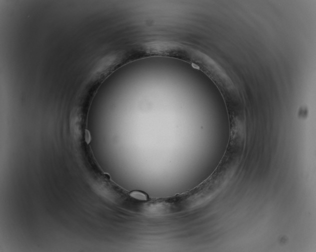 X0000103490452200809121719