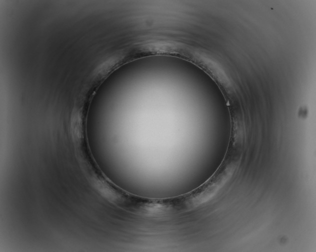 X0000103490453200809121719